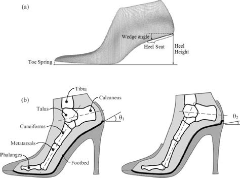 foothbhd|footbed definition.